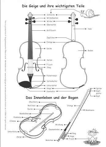 Bezeichnungen der Geige