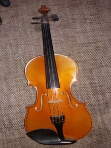 Geige1